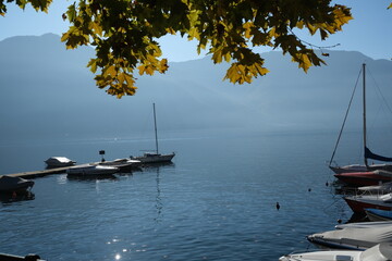 Epic Como lake view trees and fog