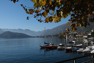 Epic Como lake view trees and fog
