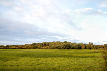 Golden sunset with dramatic clouds over English countryside fields and trees. High quality photo