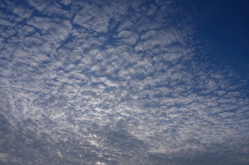 The sky presented a stunning display of natural wonders with a magnificent spread of light and fluffy clouds, enriching the charm of the vast blue on a radiant, partly cloudy day, filled with fresh