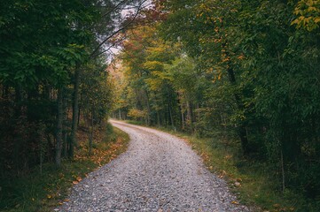 Take a tranquil walk on the charming gravel trail, embraced by vibrant foliage, ideal for those who love nature and outdoor exploration.