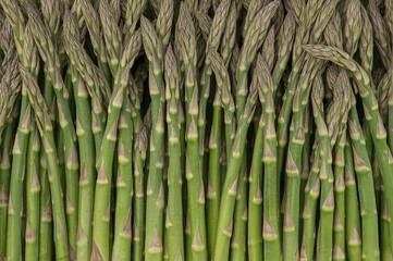Close-up of fresh green asparagus forming a natural textured backdrop, pattern, abstract, summer, banner, isolated, nature