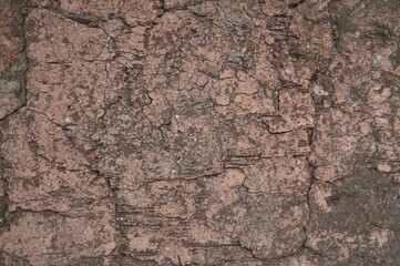 Obraz premium A detailed view of a rugged brown stone surface showcasing its worn and historic appearance.