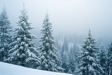Stunning winter scenery with fir and pine covered in snow
