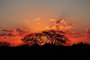 Gorgeous sunset painted in shades of orange with a rooftop and tree outline