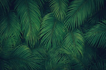 Abstract background featuring green palm leaf texture pattern with space for design, evoking tropical summer and natural environment themes. Vintage tone color effect applied.