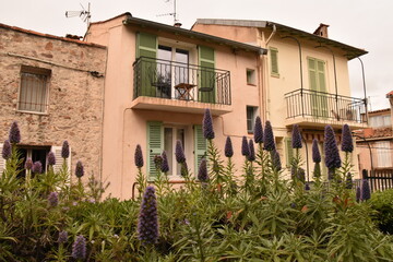 old houses in the village
