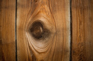 Fototapeta premium Large Spruce Wood Knot on Timber Surface, Rustic Texture and Natural Pattern