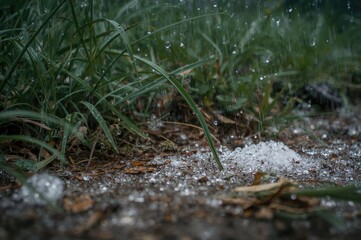 Close-Up View of Large Ice Pellets on Soil