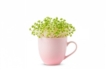 Pink Cup Filled With Fresh Bean Sprouts Against a White Backdrop