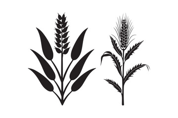 Black silhouette of two wheat stalks with leaves