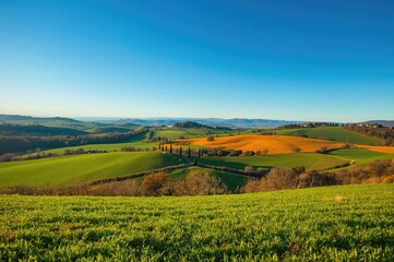 Fototapeta premium Rolling hills, grassy fields, and open meadows - classic scenery of a rural landscape. Concepts of travel, nature, and farming. Bright autumn afternoon, holiday vibes. Blank space for text.