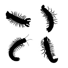 vector caterpillar of a set of black caterpillar , caterpillar  design caterpillar, caterpillar  vector, caterpillar silhouette,  , 