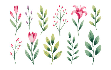 Pink lily and foliage watercolor set for textile prints.