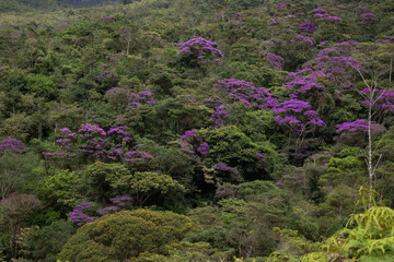 vale do paty chapada dimantina