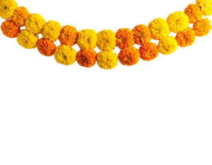 Orange and yellow marigold flower garlands PNG on isolated  transparent background  for festive decorations , diwali, pooja , flower rangoli, floral arrangements, greeting cards, toran 