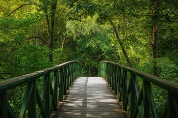 Obraz premium Eco-friendly bridge surrounded by greenery