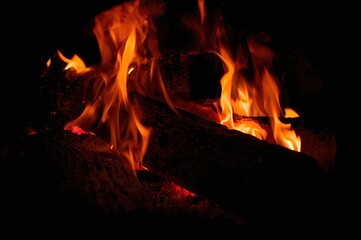 Fototapeta premium Wood-fired oven with blazing fire
