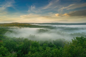 Obraz premium Mist enveloping a lush woodland, panoramic forest view