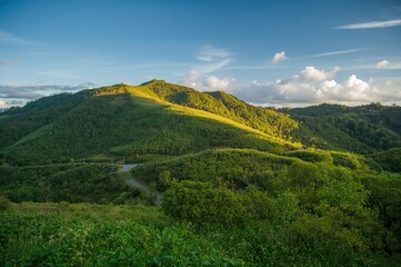 Lush hill featuring a pathway crossing it