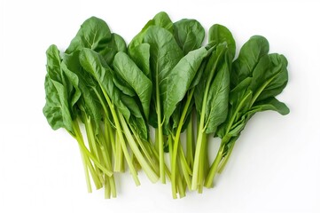 Bright green mustard leaves with firm stalks displayed on a white surface