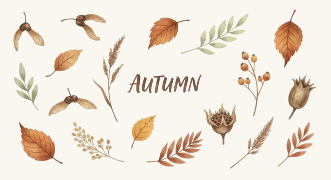 Beautiful Watercolor Autumn Elements Collection Featuring Leaves Seeds and Dried Flowers for Seasonal Decor and Design Projects