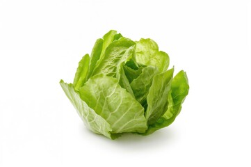 Fresh green butter lettuce leaf for salad, isolated on white background with clipping path