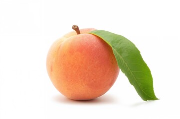 Ripe peach with leaves isolated on a plain white background with clipping path