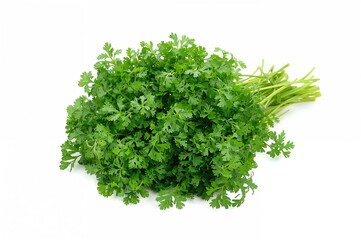 Fototapeta premium A pile of just harvested parsley