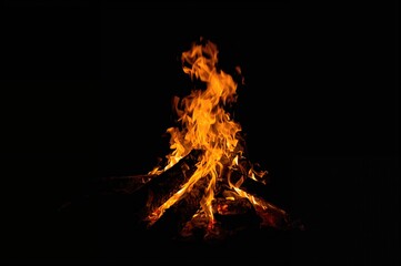 Natural brushwood ablaze with fire against a dark backdrop