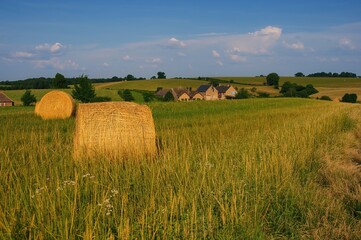 Fototapeta premium Sunlit stacks of hay in rural fields
