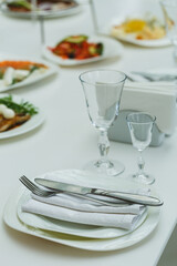Elegant table setting created for a festive lunch with fine dining plates, glasses, and silverware in a bright, cheerful atmosphere at a cozy restaurant