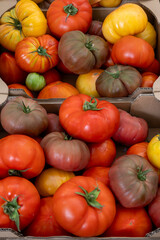 Variety of colorful tasty ripe french tomatoes on farmers market in Toulouse in summer, French vegetables