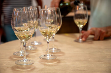 Tasting of Collioure AOC and Banyuls AOC white, rose and red wines, natural sweet grand cru Banyuls...