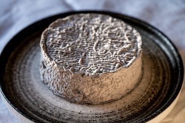 French goat cheese selles-sur-cher, France, cheese tasting