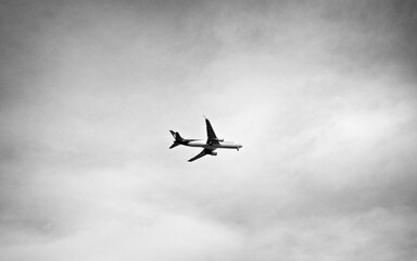plane in the sky