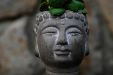 Obraz premium Buddha head sculpture with plants in a serene garden setting during daylight hours