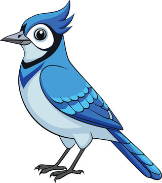 Vibrant blue jay bird illustration with crest and detailed feathers