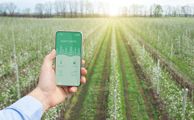 Smart agriculture and modern technologies concept. Agriculturer with phone using mobile app to control temp, humidity, life cycle of harvest cultivation outside, free space. Collage