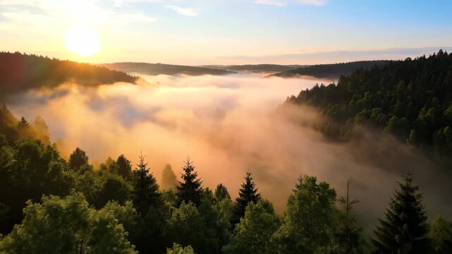 Dense, ethereal fog rolls gracefully over a lush green forest valley at sunrise, creating an atmospheric scene time lapse, dramatic, landscape