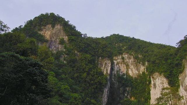 Deer Cave - Gua Payau or Gua Rusa in Sarawak on Borneo, Malaysia, Gunung Mulu National Park, sedimentary rocks known as limestone, nesting swifts and bats living in. Every evening millions bat exodus.