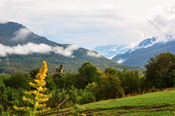 Autumn Mountain Landscape with Green Fields and Grassy Foothills