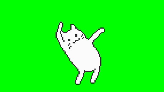 Dancing cat cartoon, pixel art animation