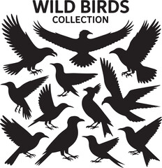 Obraz premium Vector Collection of Wild Bird Silhouettes
