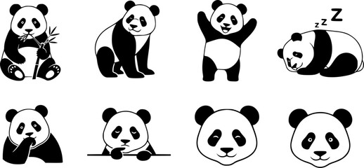 Set of Panda Vector Icons
