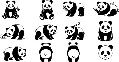 Set of Panda Vector Icons
