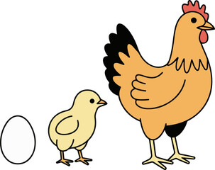 Vector art of the life cycle of a chicken is depicted, showing the progression from egg to chick to hen, the illustration is simple and educational, perfect for teaching