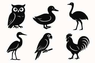 Stylized Bird Silhouettes in Varied Poses for Educational Use