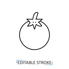 A fresh tomato icon in a minimalist line style with editable stroke. Healthy vegetable food, organic garden plant, farm harvest ingredient, vegetarian diet, ripe nutrition concept.