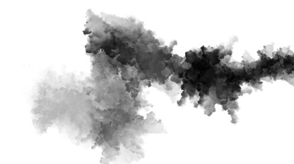Fototapeta premium black smoke on white transparent background